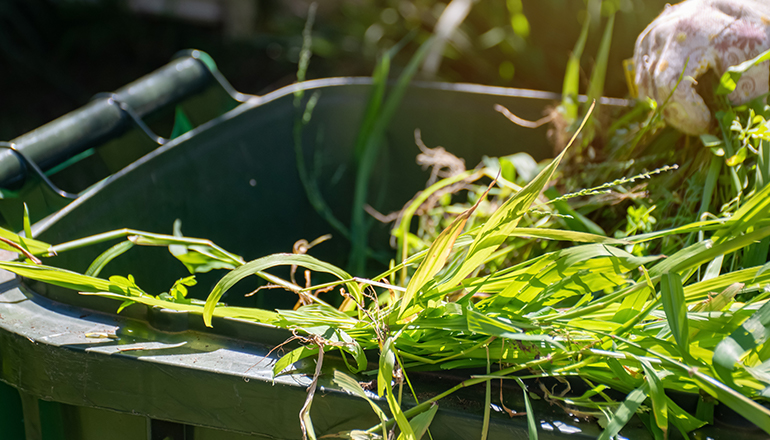 Zöld hulladékgyűjtés